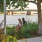 Couple sitting on a bench near the river